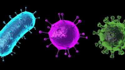 New virus found in China, patient in coma