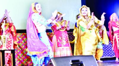 Annual Function 'Mela Punjabna' 