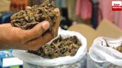 Ganja worth Rs 2.77 crore seized at Kempegowda International Airport
