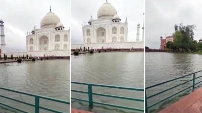 Due to heavy rain in Agra, water started seeping from the main dome of Taj Mahal