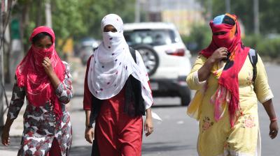 Chandigarh Weather Update News in punjabi 