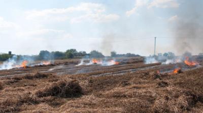 SC slams Punjab, Haryana for stubble burning despite its orders