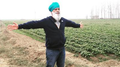 Ravi singh in fields of Punjab