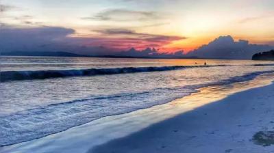 Dudhwa’s Jhadi Tal to be developed as Sarus habitat