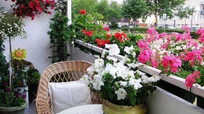 Decorate Garden with Waste Material