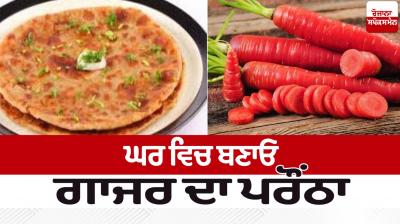 Make carrot paratha  at home News in punjabi 