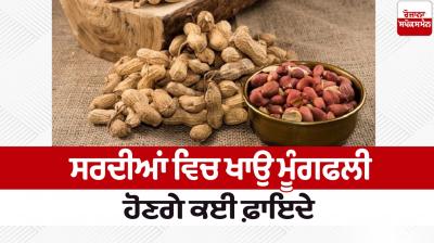 Eat peanuts in winter, there will be many benefits Health News in punjabi 