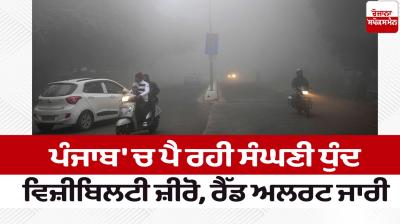 Dense fog falling in Punjab Weather Update News in punjabi 