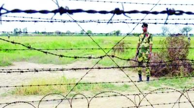 After Center's compensation Punjab also released 24 crore compensation for its share