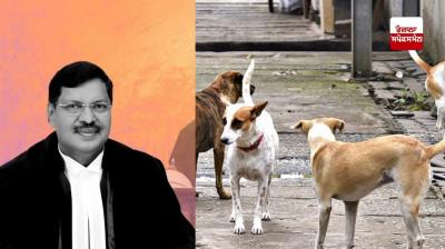 ਆਵਾਰਾ ਕੁੱਤਿਆਂ ਨੂੰ ਹਿਰਾਸਤ 'ਚ ਲੈਣ ਵਾਲੇ ਹੁਕਮਾਂ ਦਾ ਮਾਮਲਾ, ਚੀਫ਼ ਜਸਟਿਸ ਬੀ.ਆਰ. ਗਵਈ ਕਰਨਗੇ ਨਜ਼ਰਸਾਨੀ 