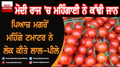 Now, tomato price soar to Rs 80/kg 