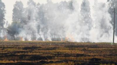 I’m a farmer, I know poor farmers can’t afford machinery for stubble management- SC Judge 