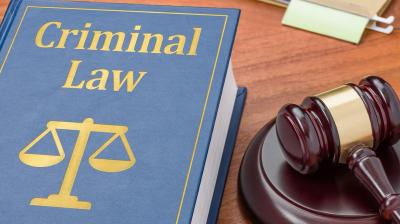  7-year sentence 'excessive' in the case of negligent death: Parliamentary Committee