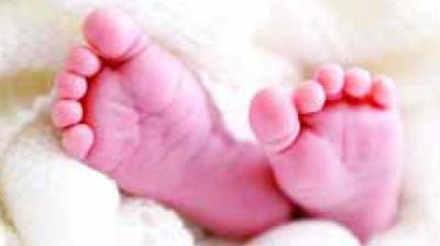 Girl Killing In Punajb