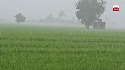 ਪੰਜਾਬ ’ਚ ਪੈ ਰਿਹਾ ਮੀਂਹ