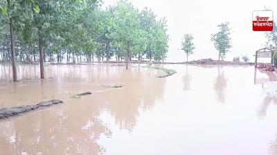 ਡੇਰਾ ਬਾਬਾ ਨਾਨਕ ਹਲਕੇ ‘ਚ ਅਲਰਟ, ਰਾਵੀ ਦਰਿਆ ‘ਚ ਪਾਣੀ ਛੱਡੇ ਜਾਣ ਕਾਰਨ ਹੜ੍ਹ ਦਾ ਖ਼ਤਰਾ