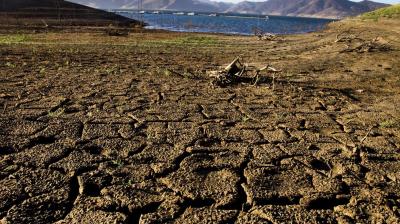  File photo for representation. 