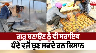 Farmers can also choose jaggery making as a sideline occupation Farming News in punjabi 