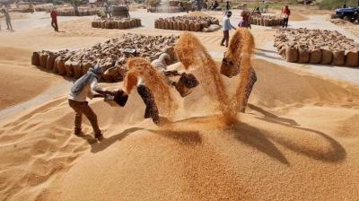 13 member mandi board control room to coordinate 