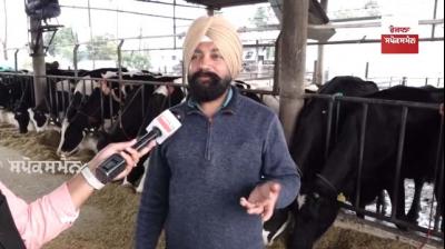 Dairy farming business started by farmer becomes huge