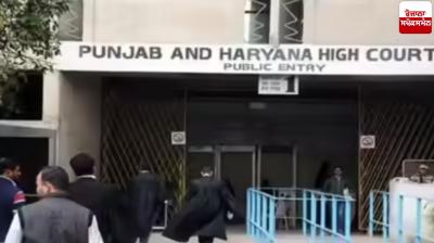 High Court strict before Zila Parishad and Panchayat Samiti elections