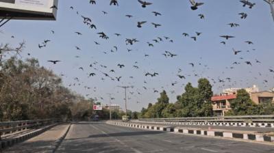 lockdown in jharkhandn