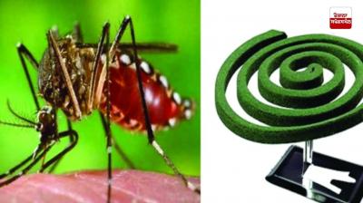 using horoscope to ward off mosquitoes