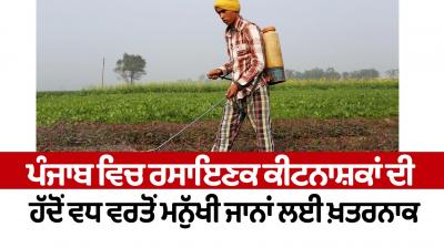 Excessive use of chemical pesticides in Punjab is dangerous for human lives Editorial