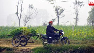 Punjab Weather Update