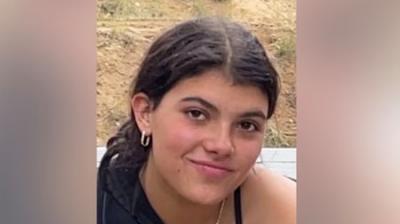 Canadian girl died from drowning after dingo attack in Australia