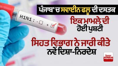 Swine flu hits Punjab