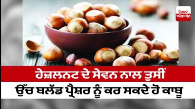 By consuming hazelnut you can control high blood pressure