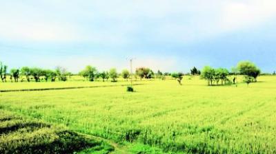 Order to name the ownership of the land in the Gram Panchayats