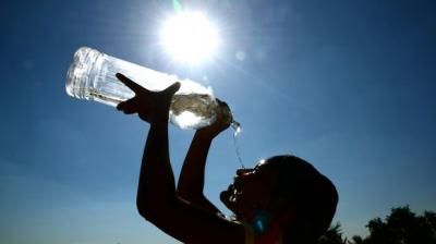 Chandigarh Weather Update News in punjabi 