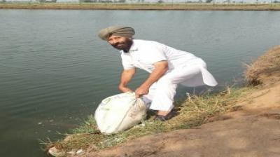 Fish farming is much beneficially than Farming 