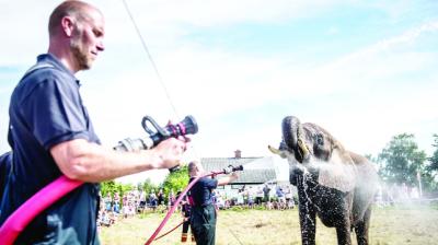 Guards while bathing the elephants to avoid heat