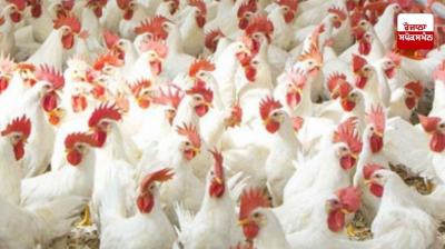 Chicken prices hike due to Ramadan in Pakistan