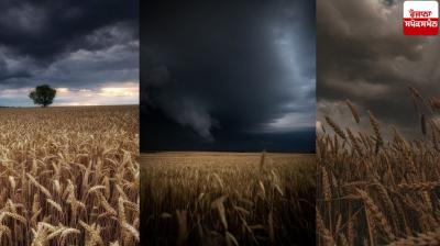 Punjab Weather Update News in punjabi 