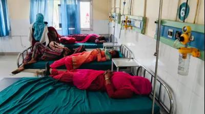 Boys and girls sitting in the park were attacked by bees Abohar News