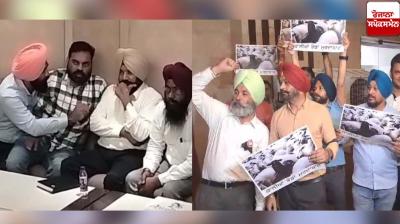 Patwar union torn into two in Punjab