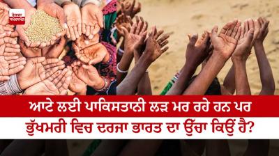 Pakistanis are dying for flour, but why is India's rank higher in hunger?