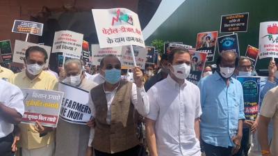 'Murder of Democracy': Rahul Gandhi, Opposition Leaders March to Vijay Chowk