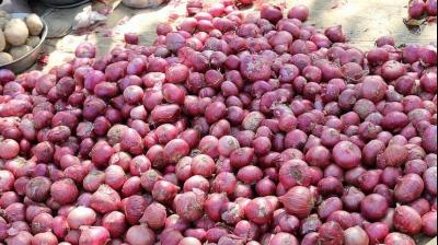 Farmers blocked the Mumbai-Agra highway in protest against the ban on onion export