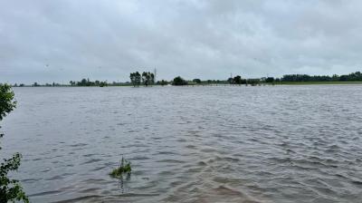 Punjab Flood News in punjabi