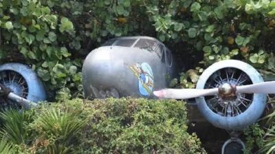 Canada Plane Crash News in punjabi 