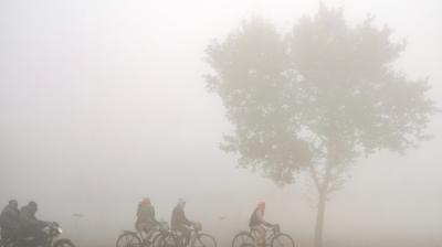 punjab weather update