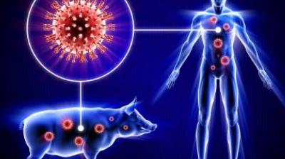  4 deaths due to swine flu, monitoring intensified by the health department