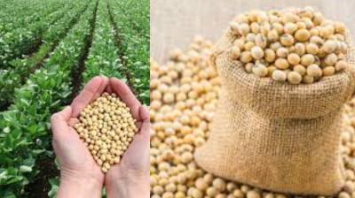  Center announced to buy soybeans at minimum support price