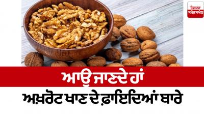  Let's know about the benefits of eating walnuts  Health News 