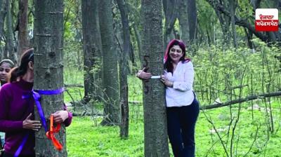 ਸੇਵਿੰਗ ਸਿਟੀਜਨ ਚੰਡੀਗੜ੍ਹ ਗਰੁੱਪ ਦਰੱਖਤਾਂ ਦੀ ਕਟਾਈ ਨਾ ਕਰਨ ਨੂੰ ਲੈ ਕੇ ਦਰਖਤਾਂ ਨਾਲ ਚਿਪਕ ਕੇ ਆਪਣਾ ਰੋਸ ਪ੍ਰਦਰਸ਼ਨ ਕਰਦਾ ਹੋਇਆ 